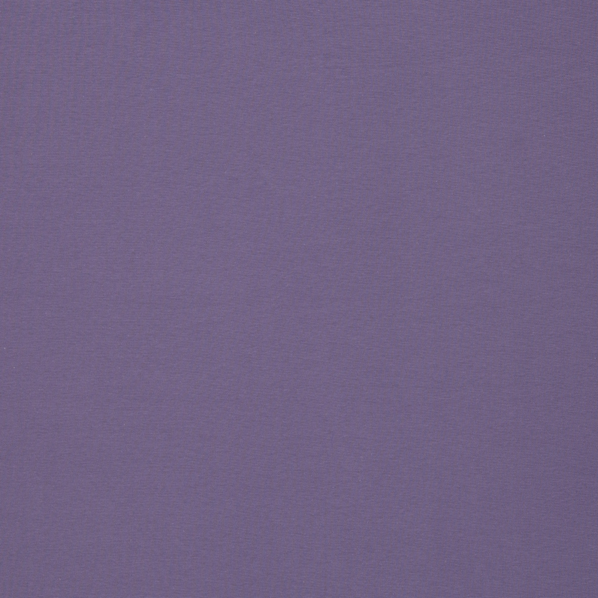 Jersey Uni traube